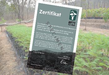 CO2 Zertifikat